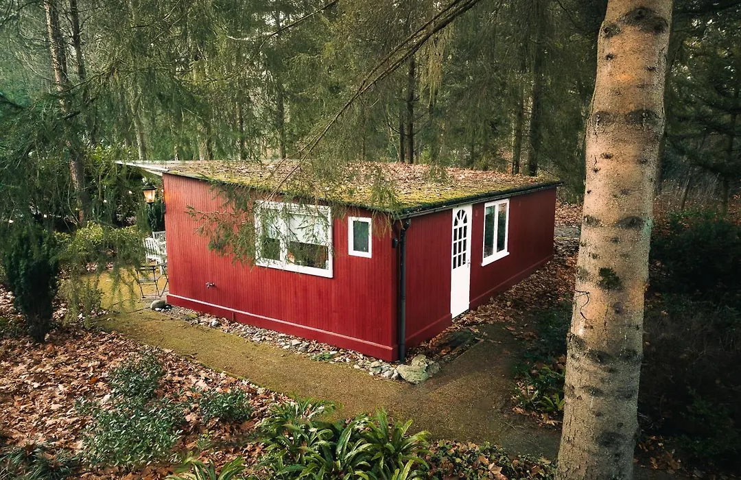 Natuurhuisje het Jagertje-1