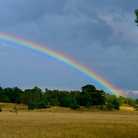 Het Natuurhuisje op de Veluwe-2