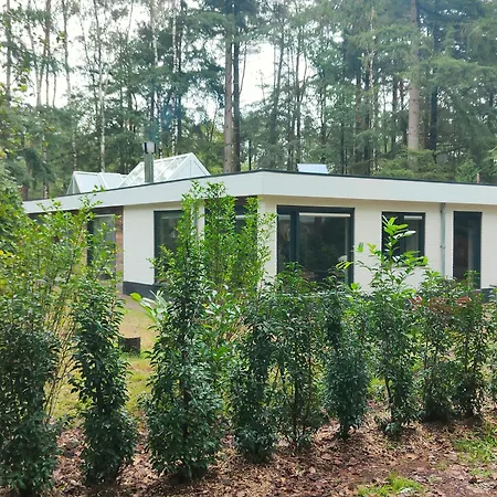 Natuurhuisje Vechtdal Bungalow met privé sauna zwemmeer en houthaard-3
