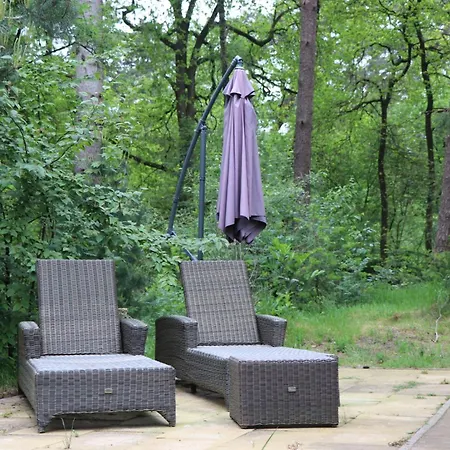 Natuurhuisje Vechtdal Bungalow met privé sauna zwemmeer en houthaard-2